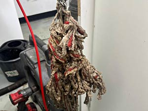 Mop Head removed from a blocked toilet